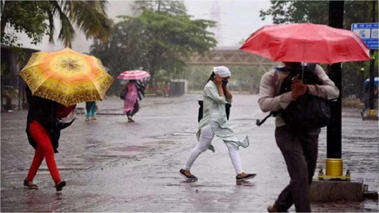 IMD Rainfall Alert