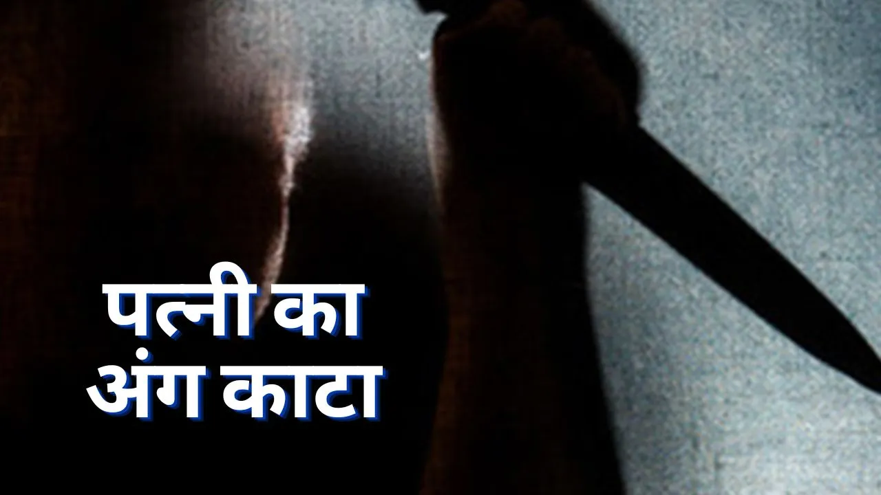 दिल्ली क्राइम