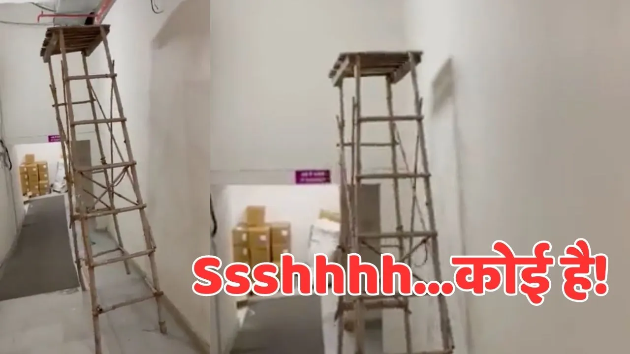 viral trending video