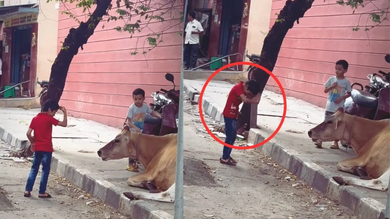 viral trending video