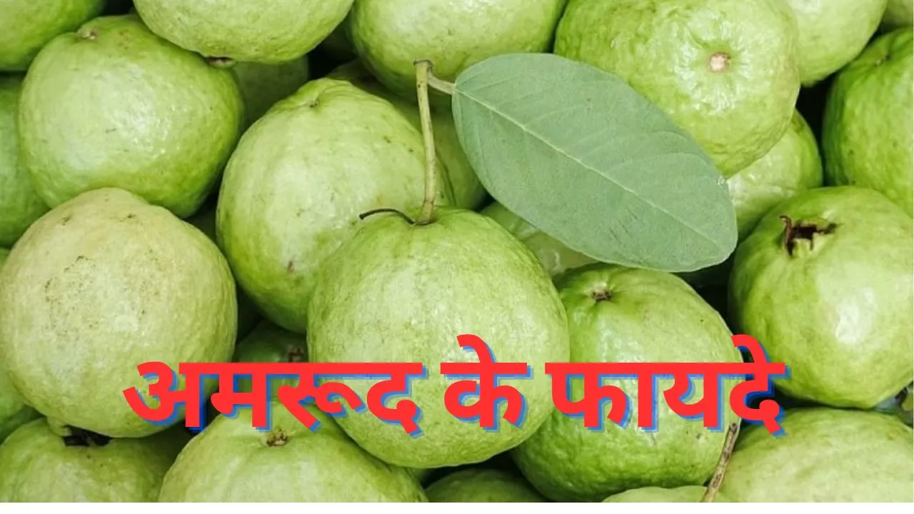Benefit of Guava