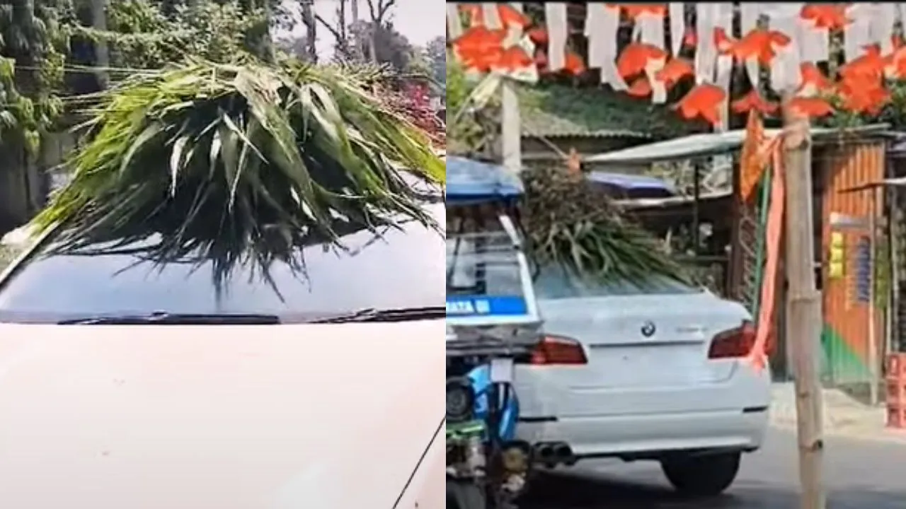 viral trending video
