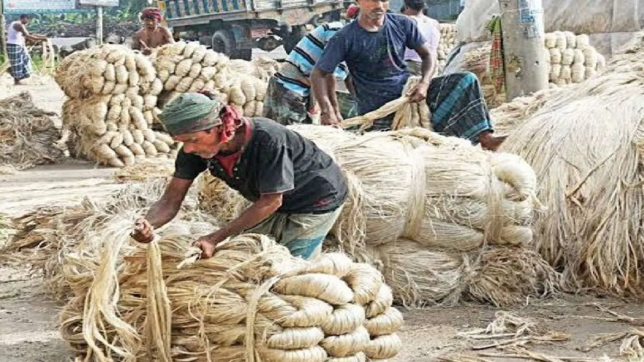 jute