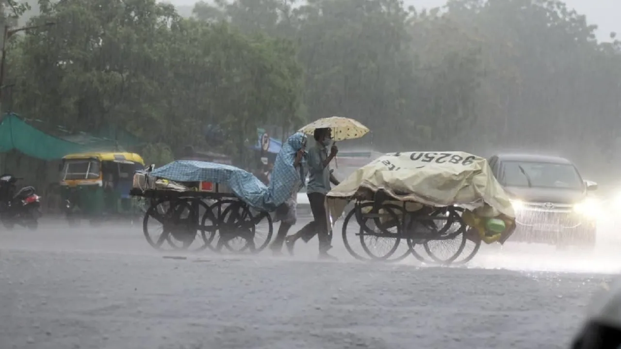Rain Alert