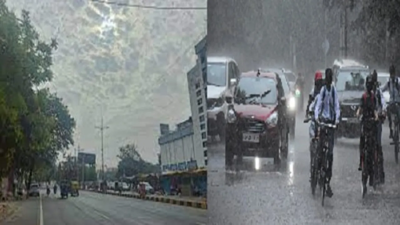 IMD Rainfall Alert