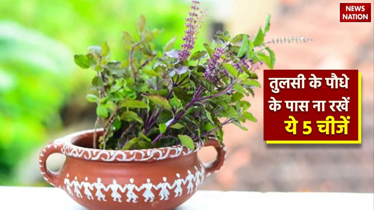 WhatsApp Image 2023 09 12 at 4 07 00 PM