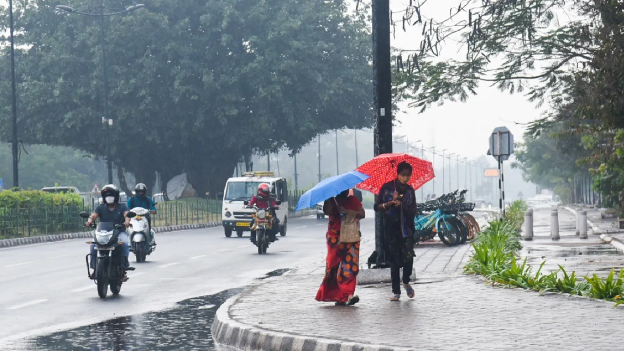 Rain Alert