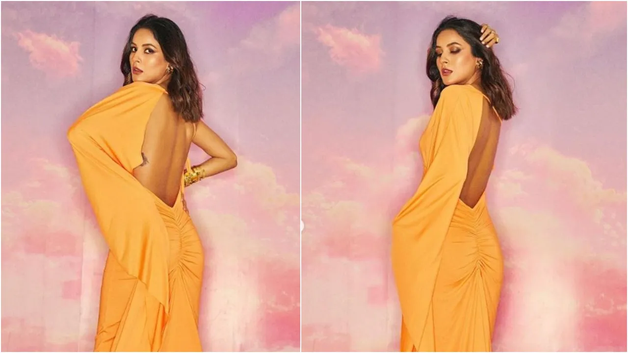 shehnaaz gill  5