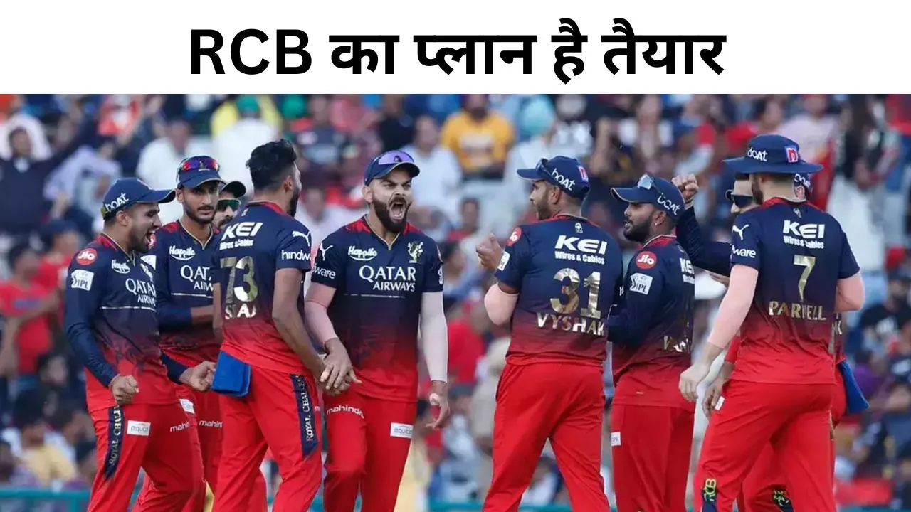 ipl 2024 rcb change the plan for mohammed siraj in coming season