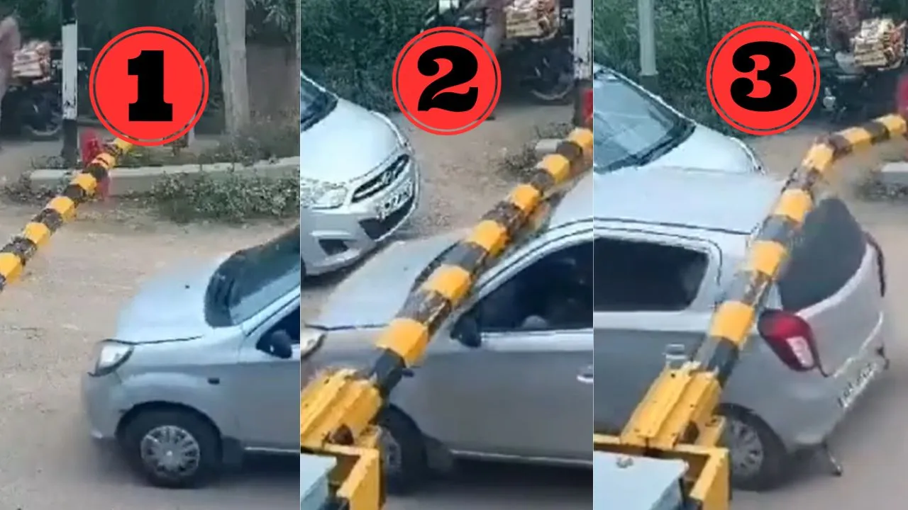 viral trending video