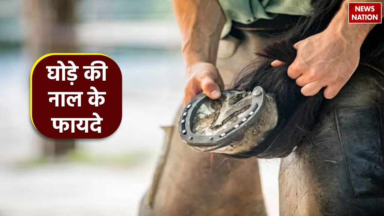 How to use ghode ki naal or horseshoe to get the blessings of Goddess Lakshmi
