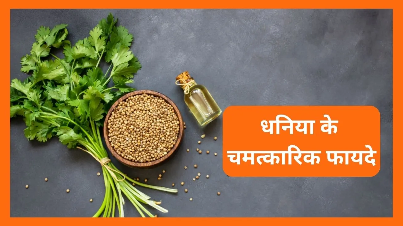 Coriander Benefits