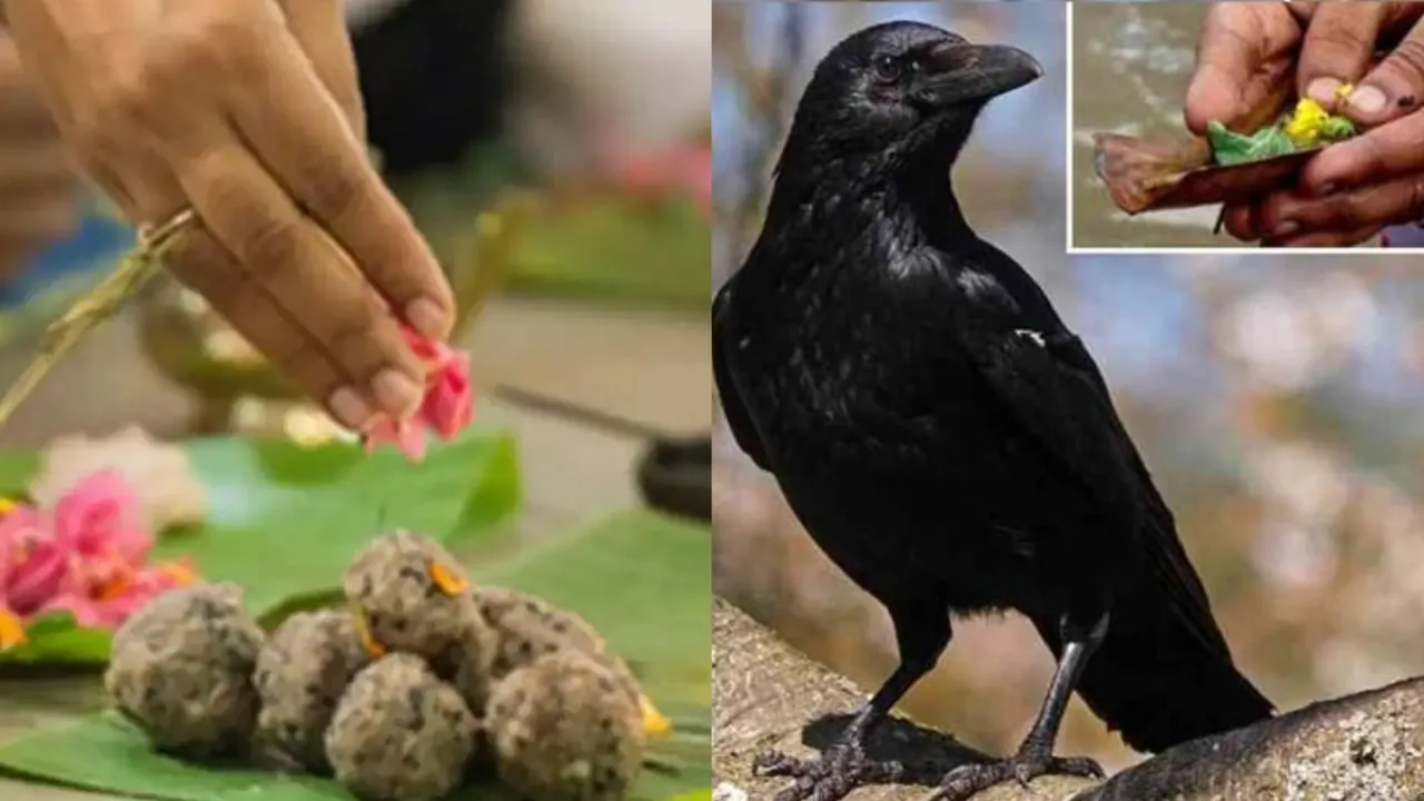 Pitru Paksha 2023