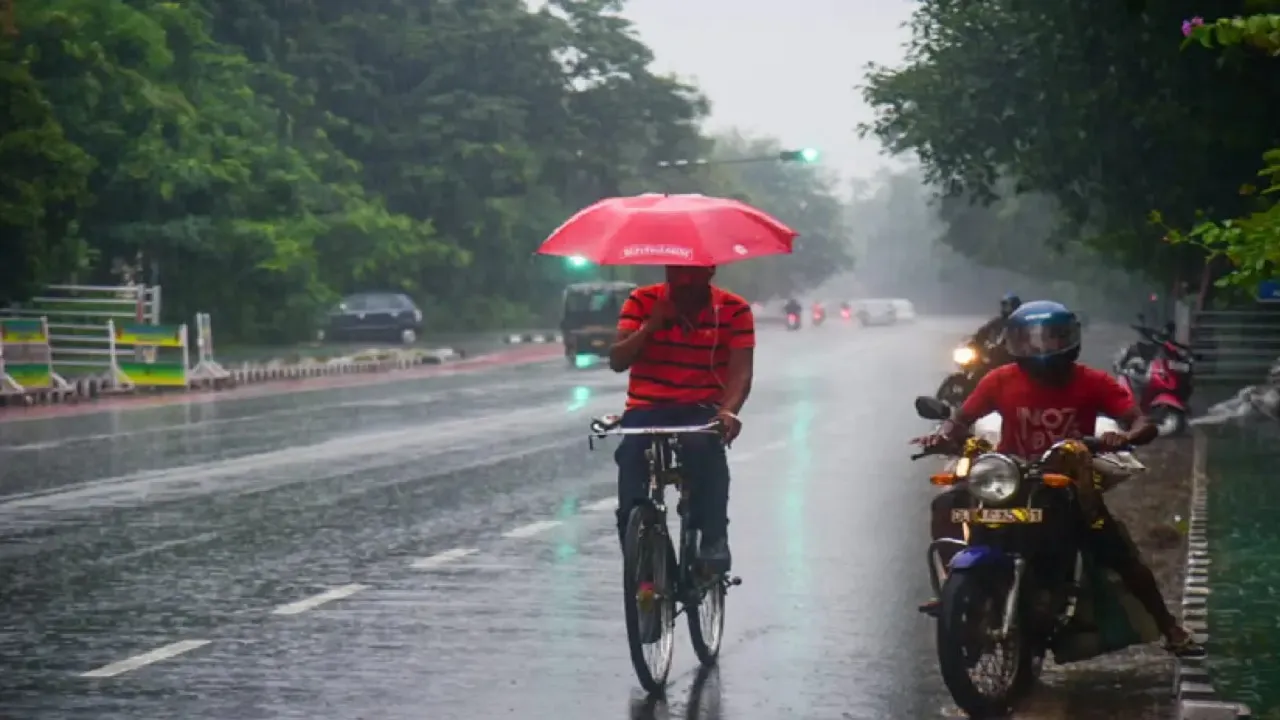 Rain