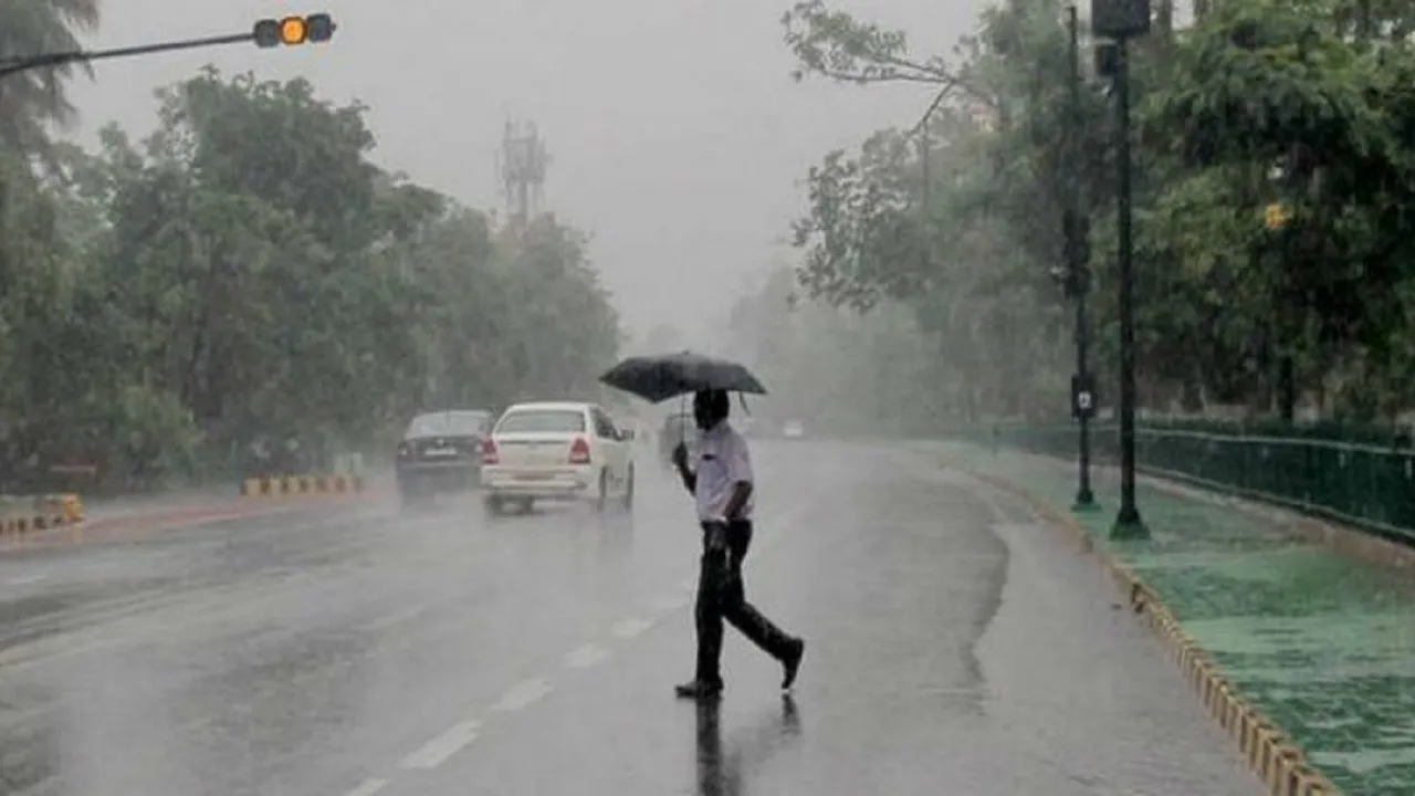 Rain Alert