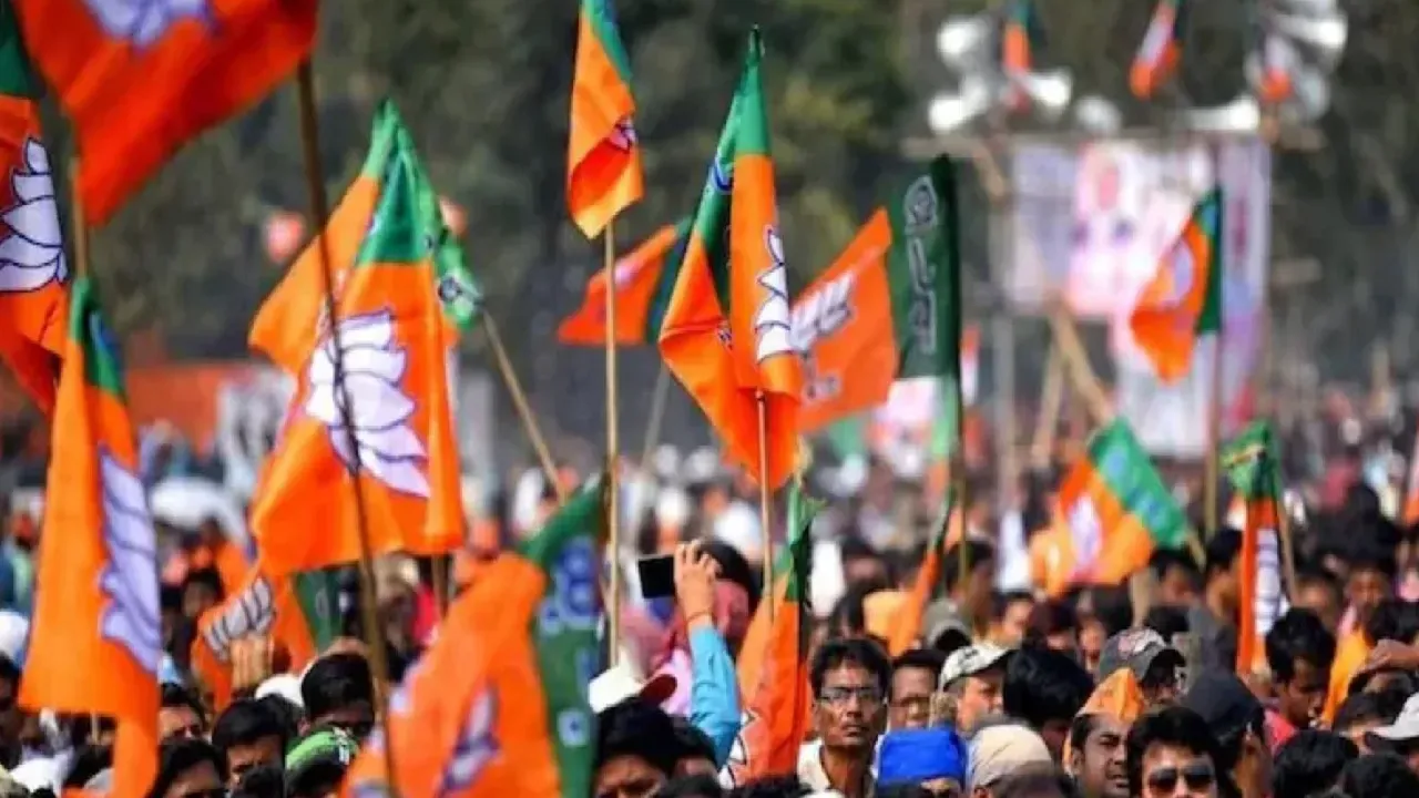 bjp flag