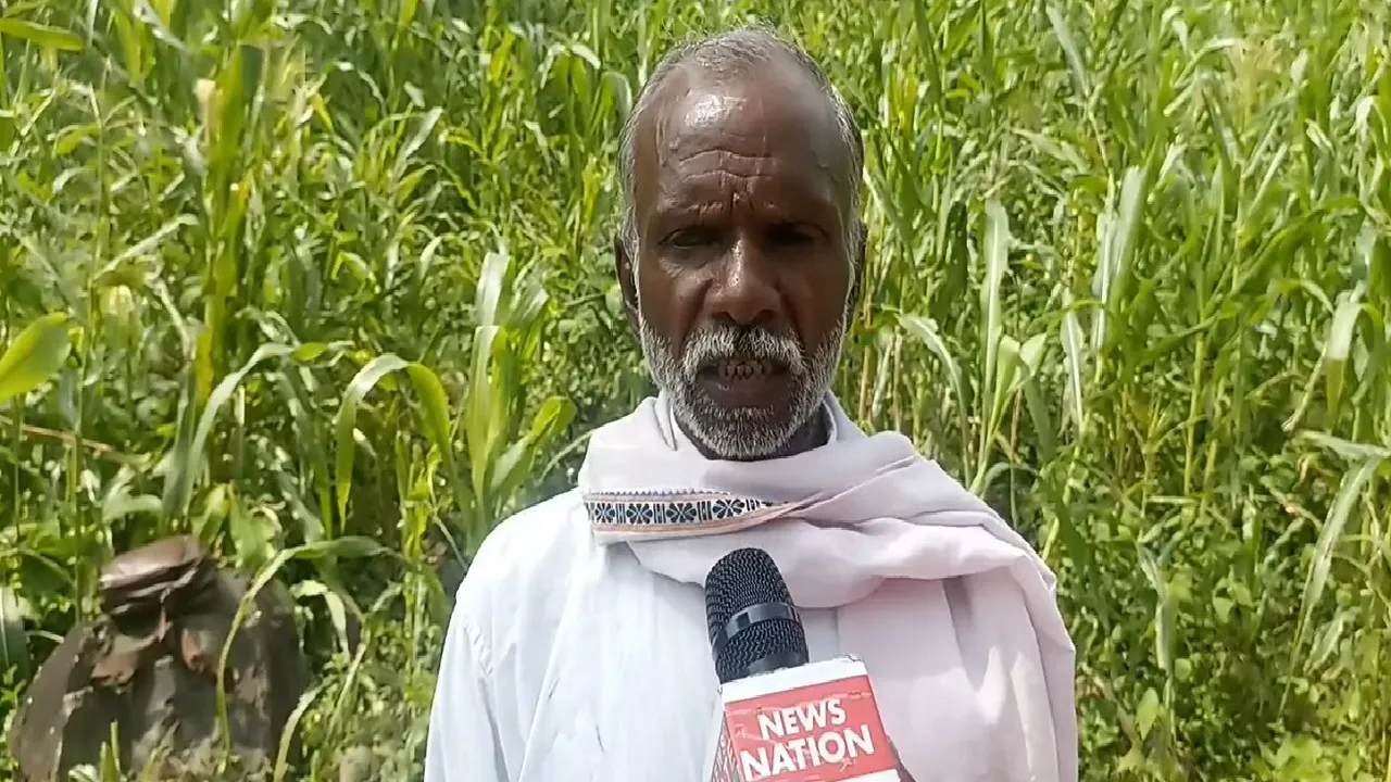 sahibganj news