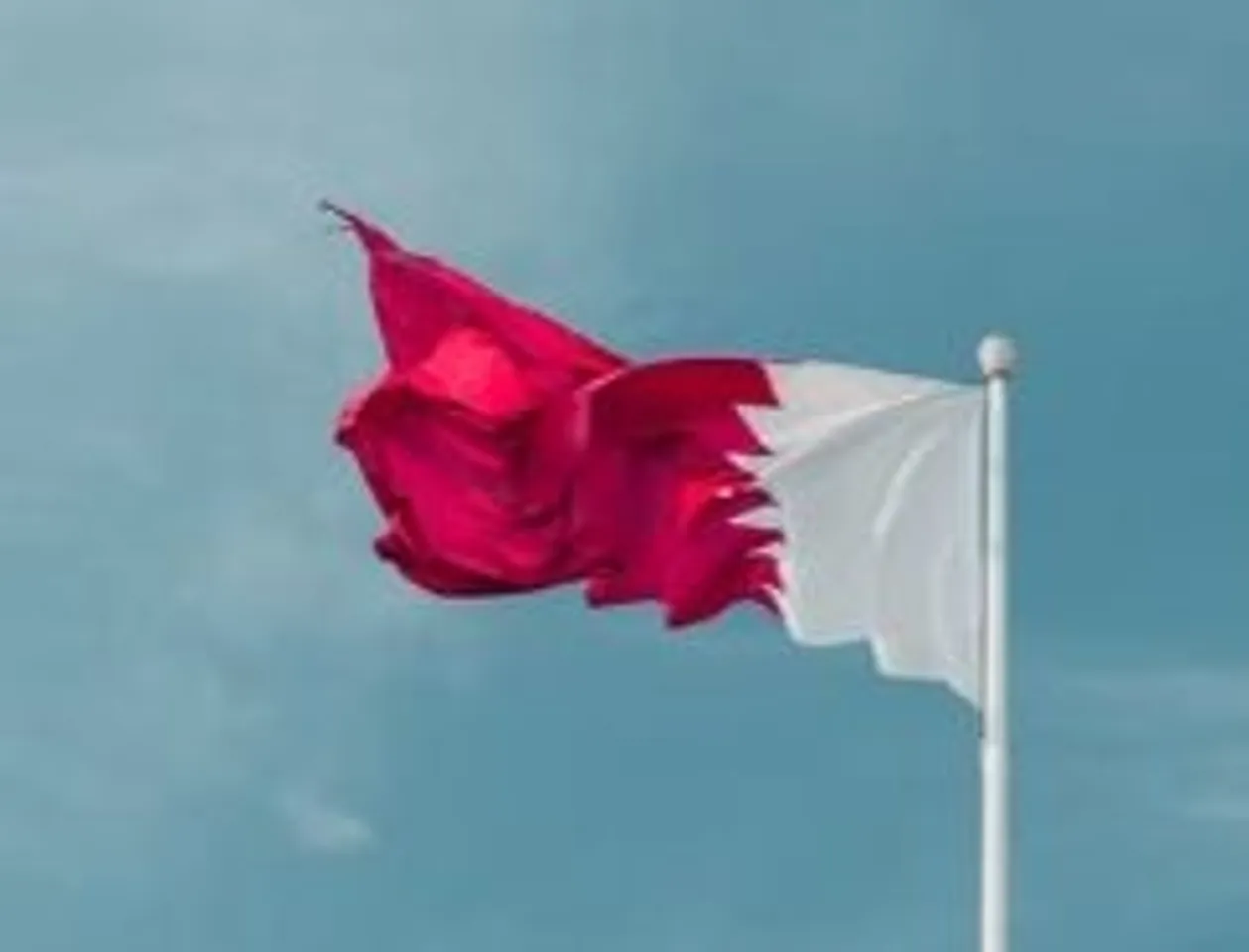 hindi-qatar-een-a-vital-upporter-of-hama-terrorim--20231014143104-20231014152843