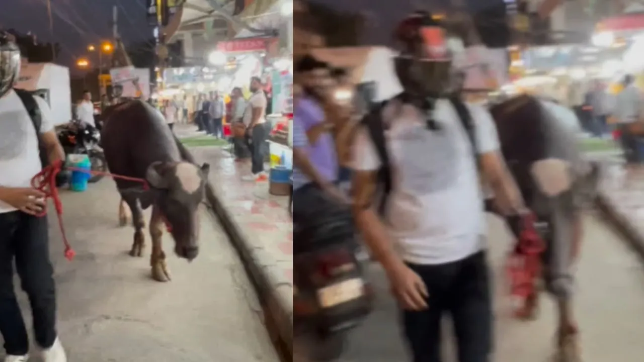 viral trending video
