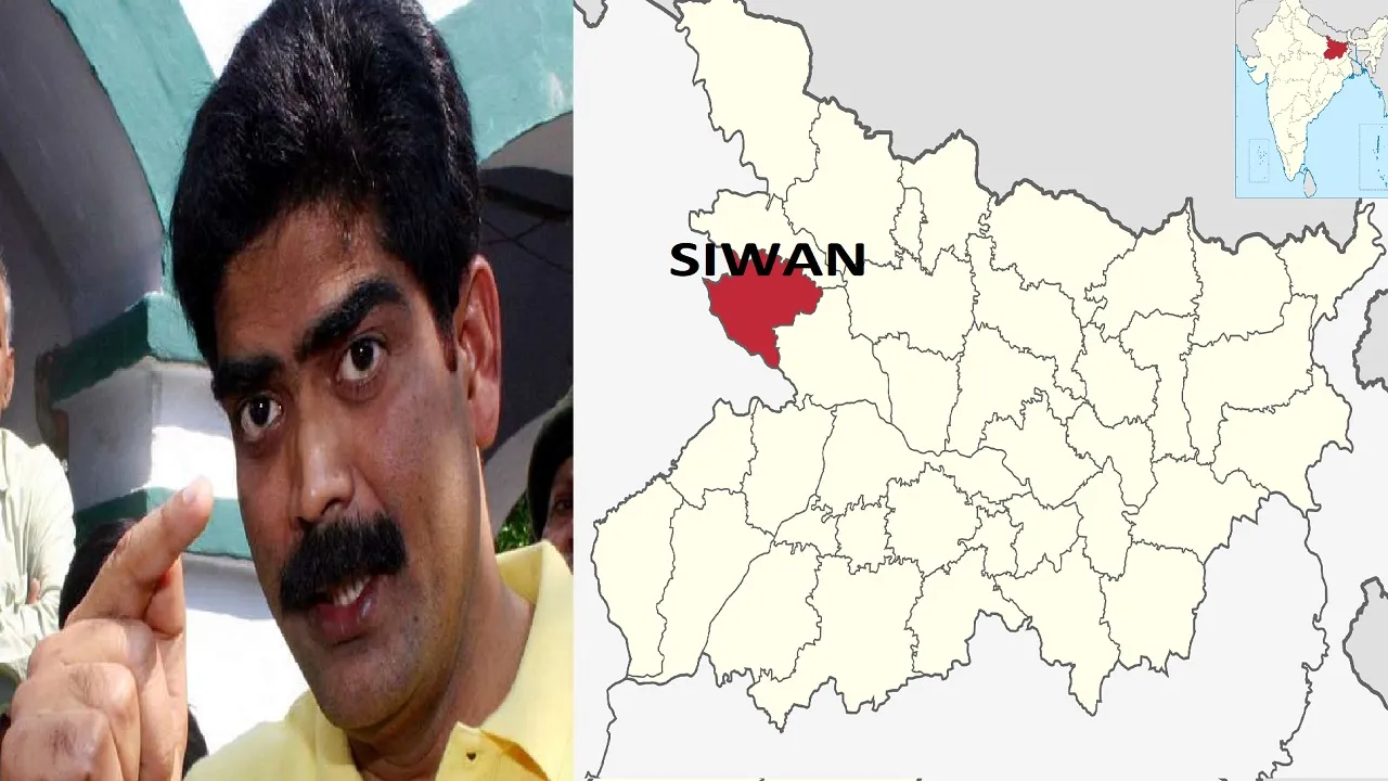 Siwan Loksabha ELECTION 2024