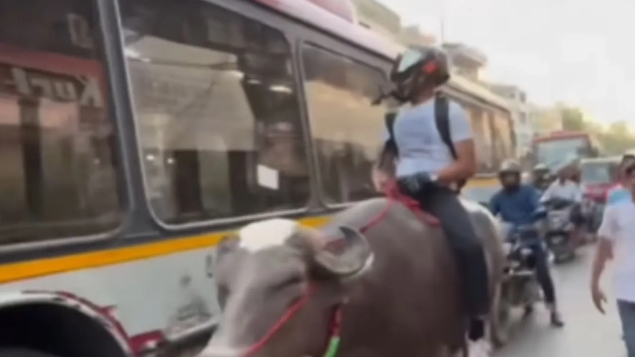 viral trending video