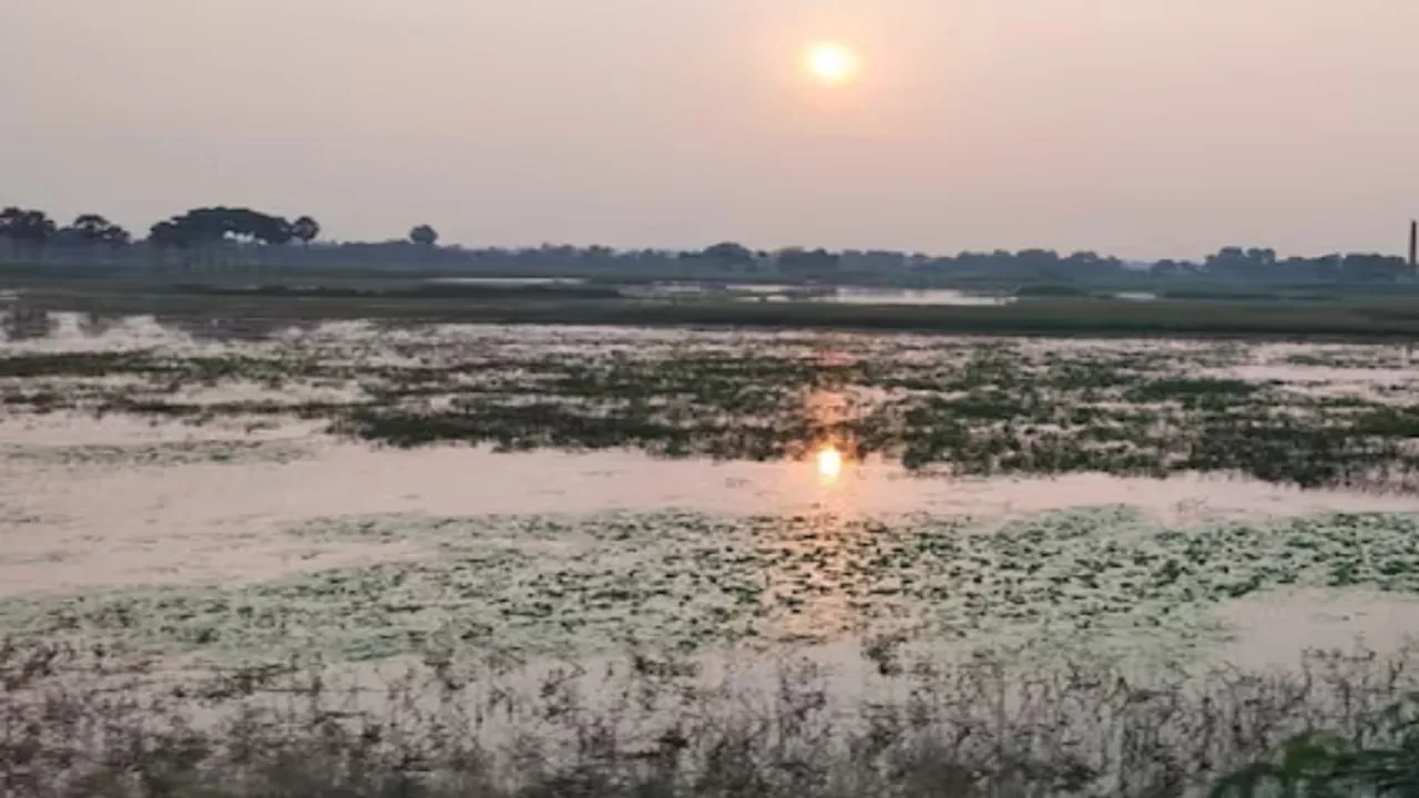 Bihar Monsoon Rain