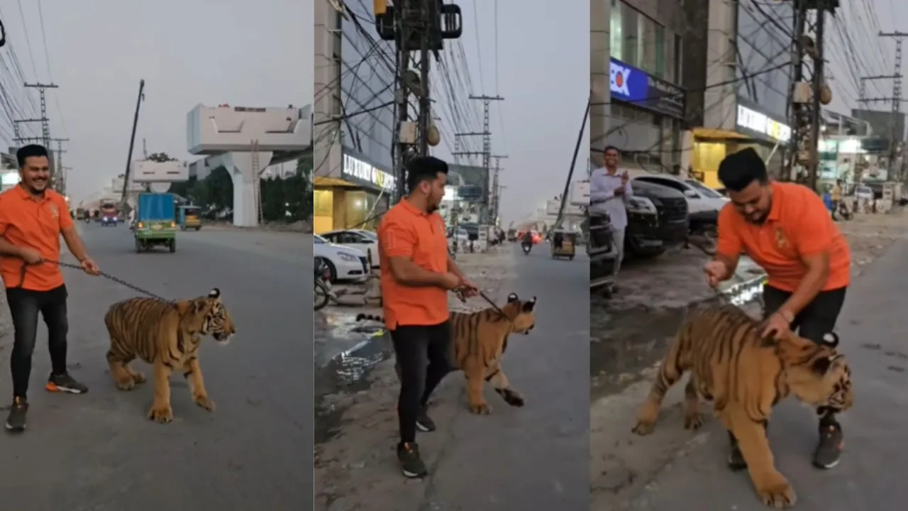 viral trending video