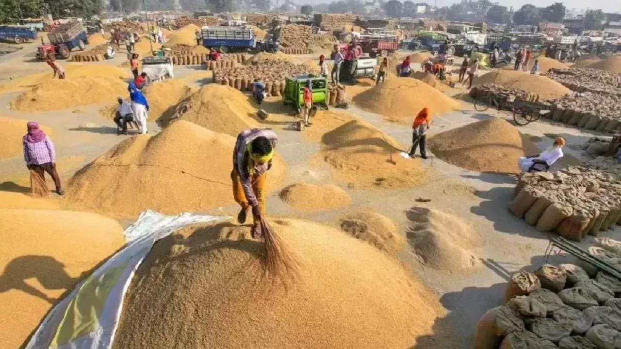 BIIHAR FARMERS