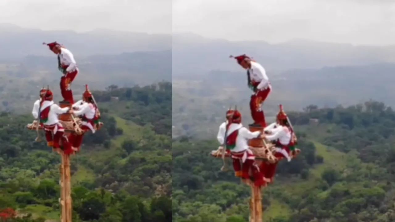 viral stunt trending video