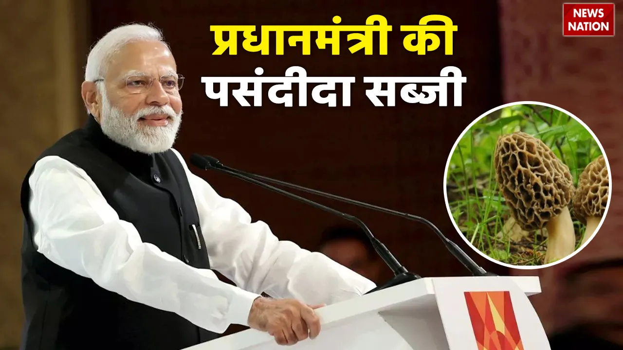 Why Prime Minister Narendra Modi likes Gucchi