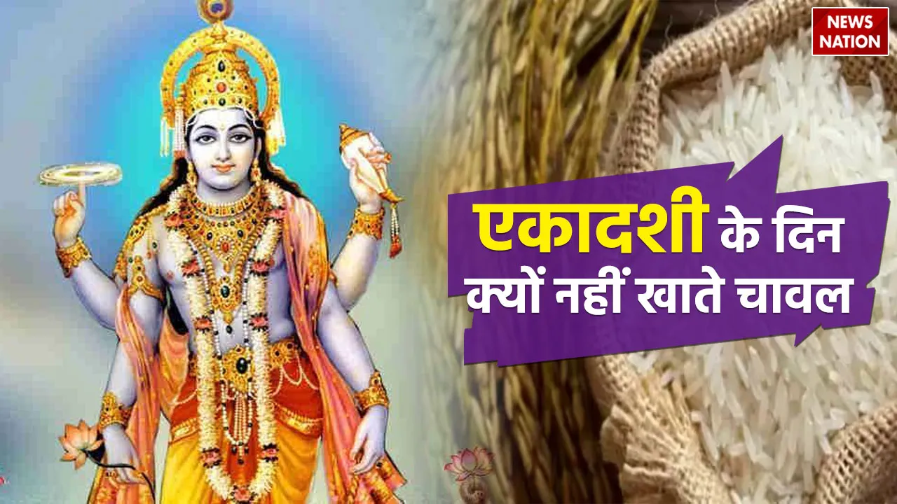 why rice should not be eaten on the day of ekadashi maharishi medha ki katha