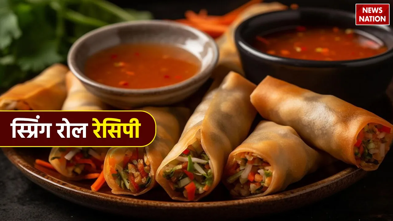 Veg spring roll recipe in hindi