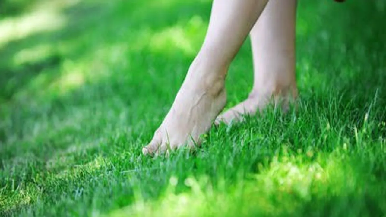 morning walk barefoot