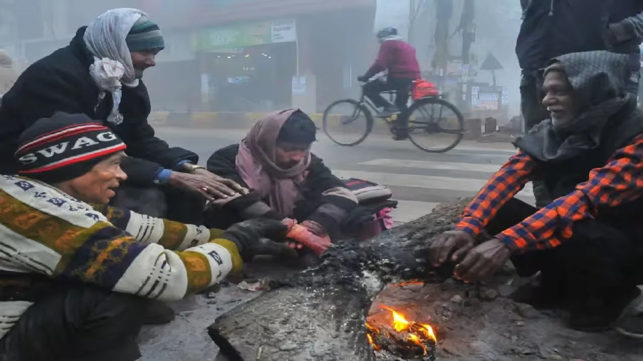 IMD Winter Cold