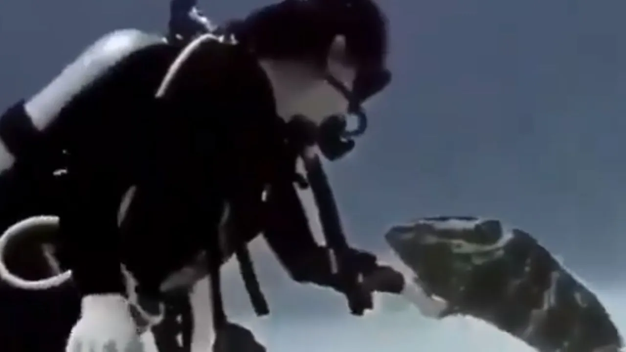 viral video