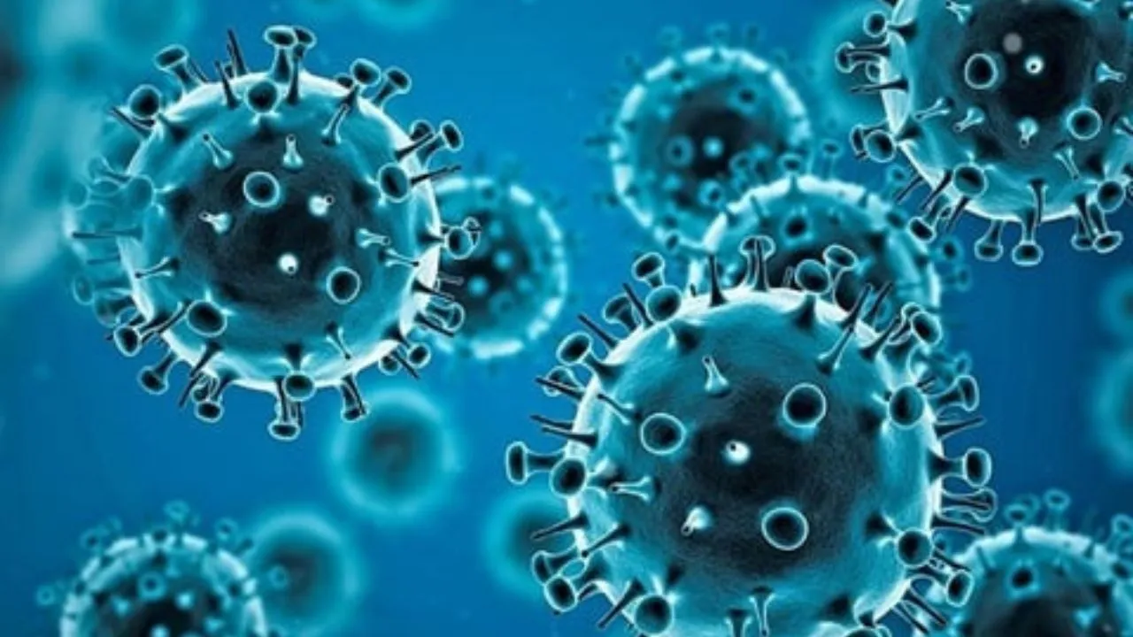 Coronavirus
