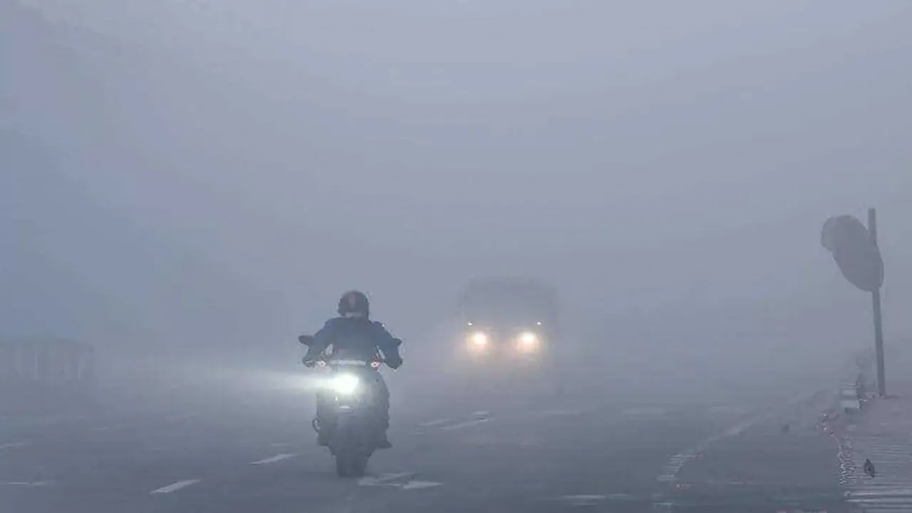 delhi fog