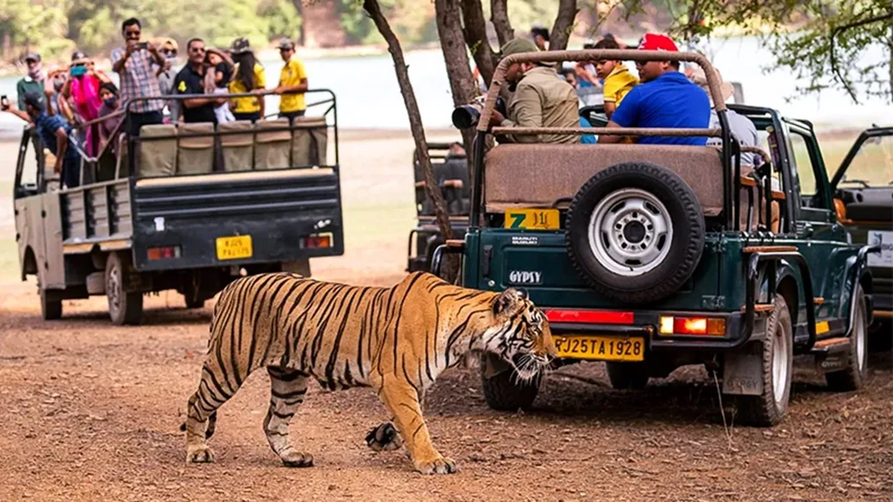 Tourist Places In India