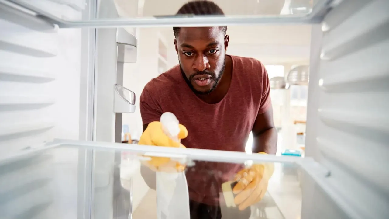 Fridge_Cleaning