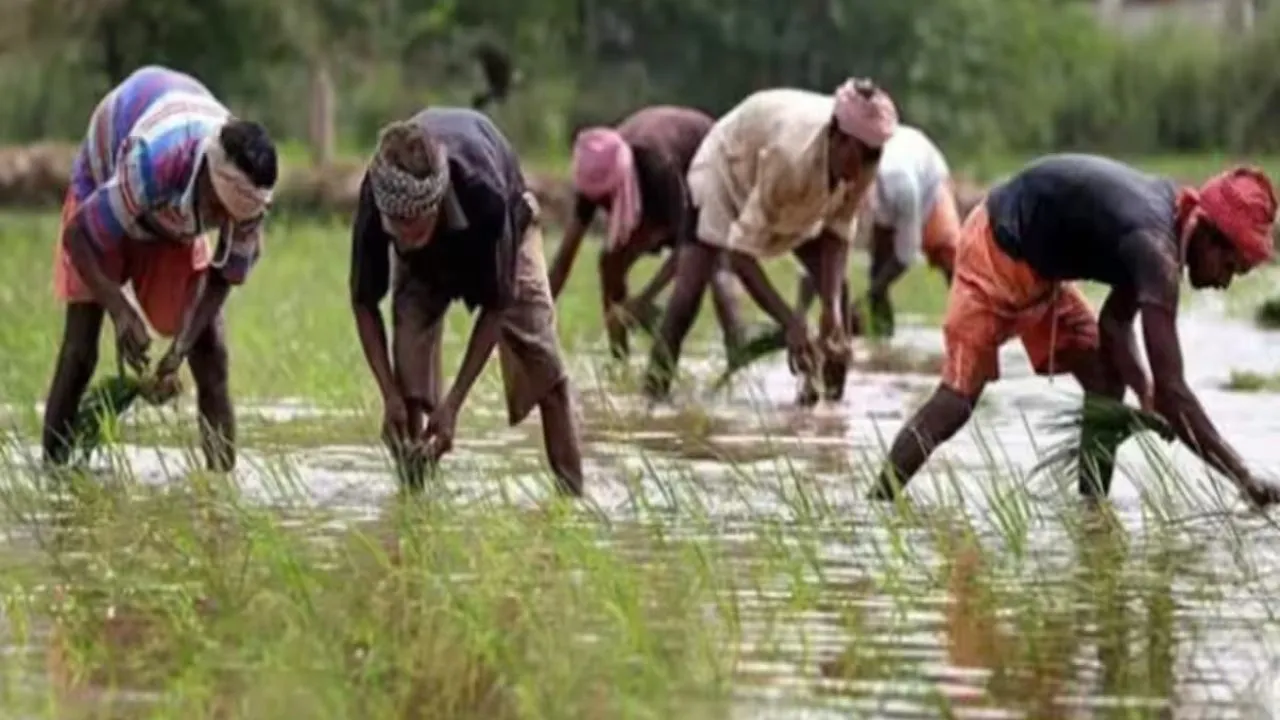 farmers_scheme