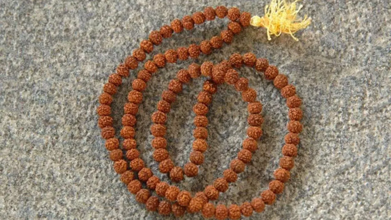 Rudraksh