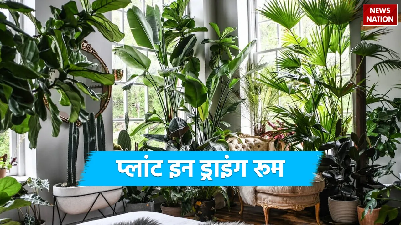 Vastu Tips