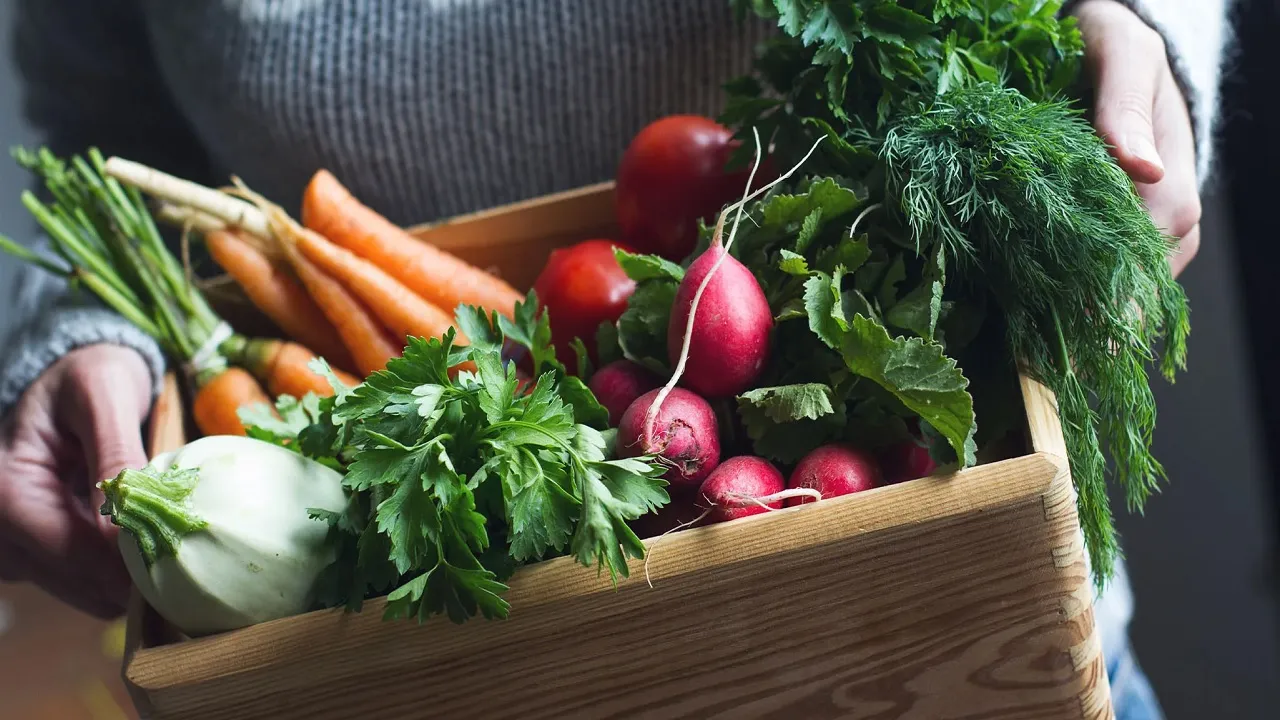 Winter Vegetables