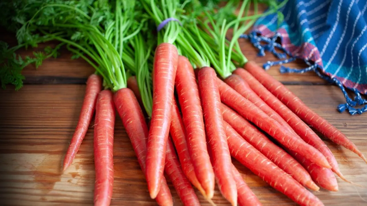 What are the benefits of eating carrots