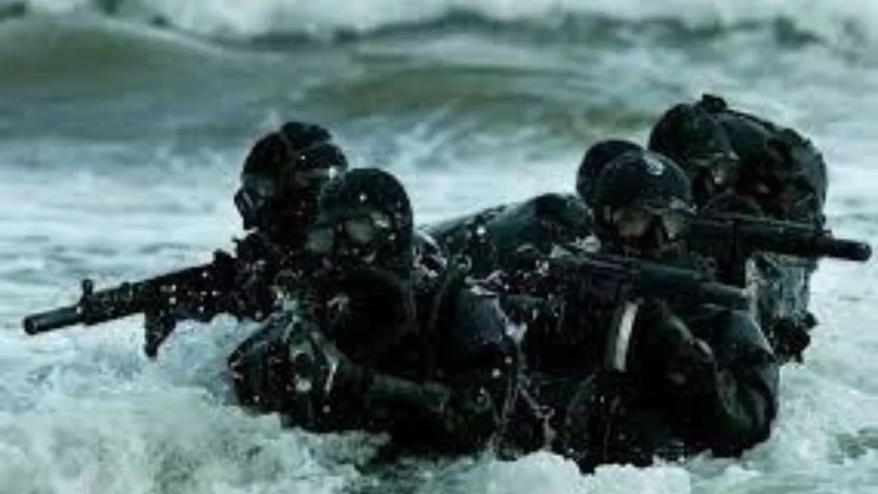 navy search operation
