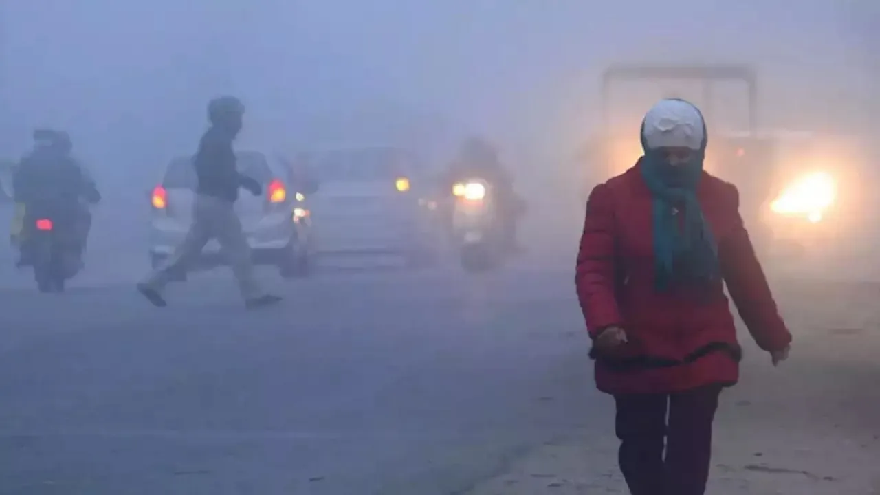 Delhi Cold Wave