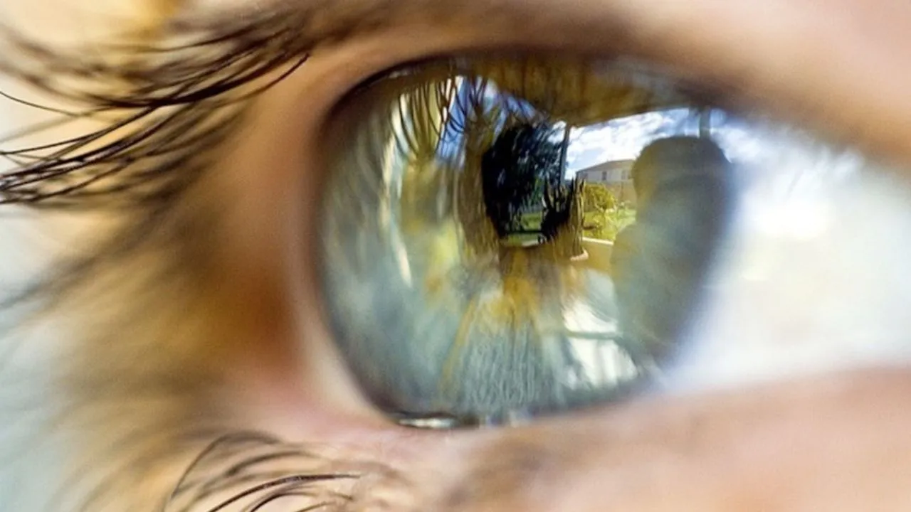 eyesight