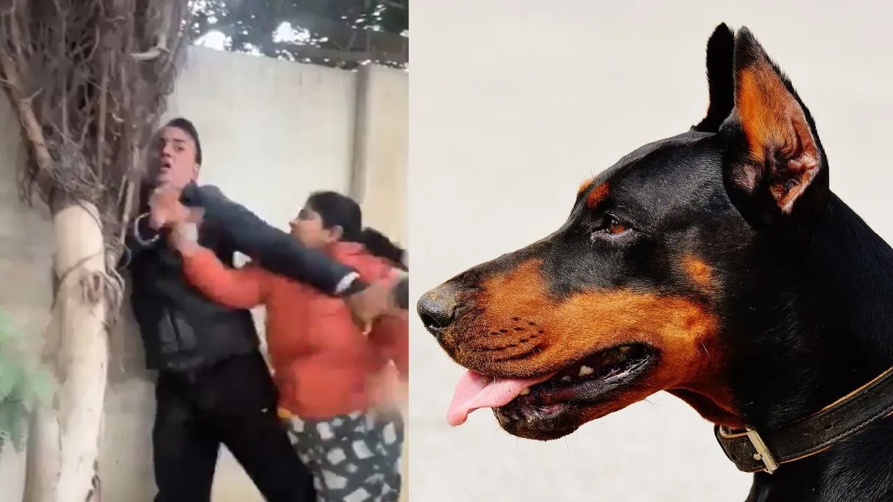 viral video