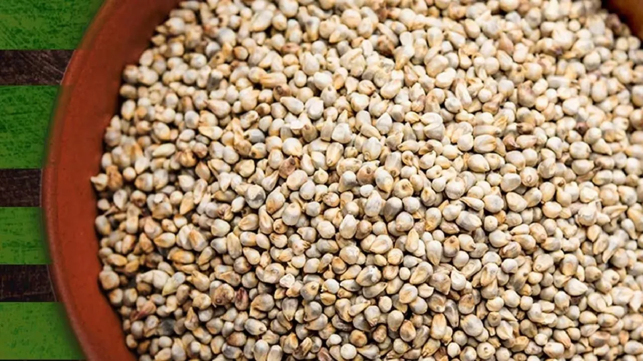 Millet Eating
