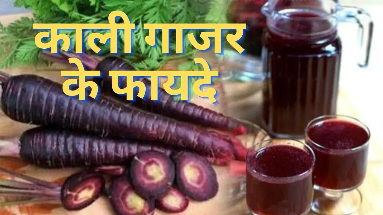 Black Carrot Benefits